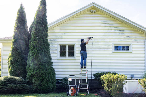 Best Solar Panel Cleaning  in Louisville, TN